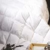Double Quilt - 100% White Duck Feather -Best Bedding Store 690624 1 1