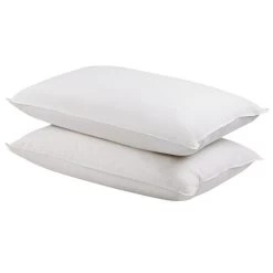 Giselle Bedding Set Of 2 Duck Down Pillow - White -Best Bedding Store PILLOW DFD X2 03