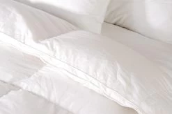 Single Quilt - Microfiber -Best Bedding Store V63 724285 03 8