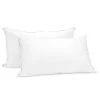 Duck Down Feather Pillow Twin Set - 1.3kg -Best Bedding Store rcdd pill 2