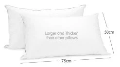 Duck Down Feather Pillow Twin Set - 1.3kg -Best Bedding Store rcdd pill f3