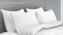 Duck Down Feather Pillow Twin Set - 1.3kg -Best Bedding Store rcdd pill f4